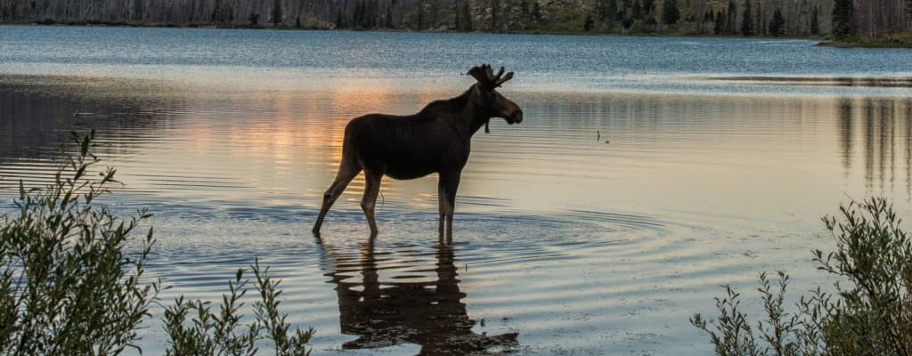 How to Release a Montana Mechanics Lien When a Payment Dispute Is Resolved