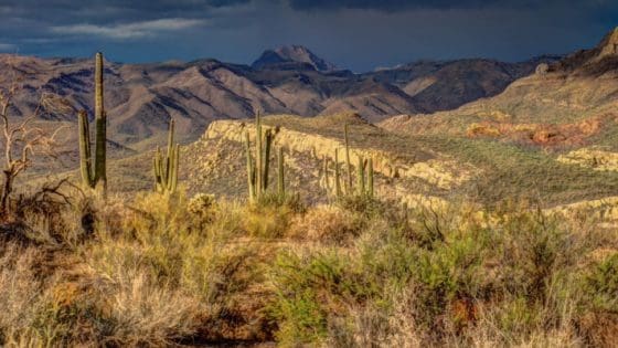 Arizona Unconditional Waiver and Release on Final Payment: Template and Guide