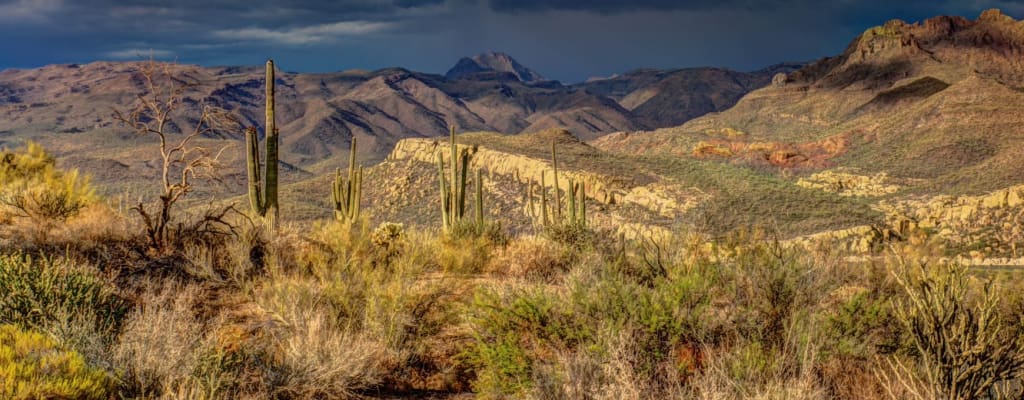 Arizona Unconditional Waiver and Release on Final Payment: Template and Guide