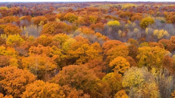 Michigan Full Unconditional Waiver of Lien: Template and Requirements