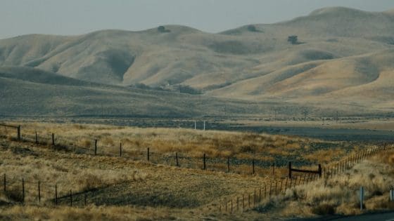 How a California Conditional Waiver and Release on Progress Payment: Timing and Requirements