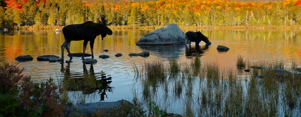 File a Maine Mechanics Lien: Requirements and Best Practices