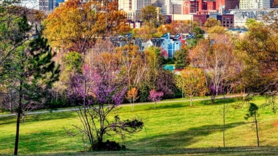 North Carolina Public Project Payment Bond Claims: A Complete Guide