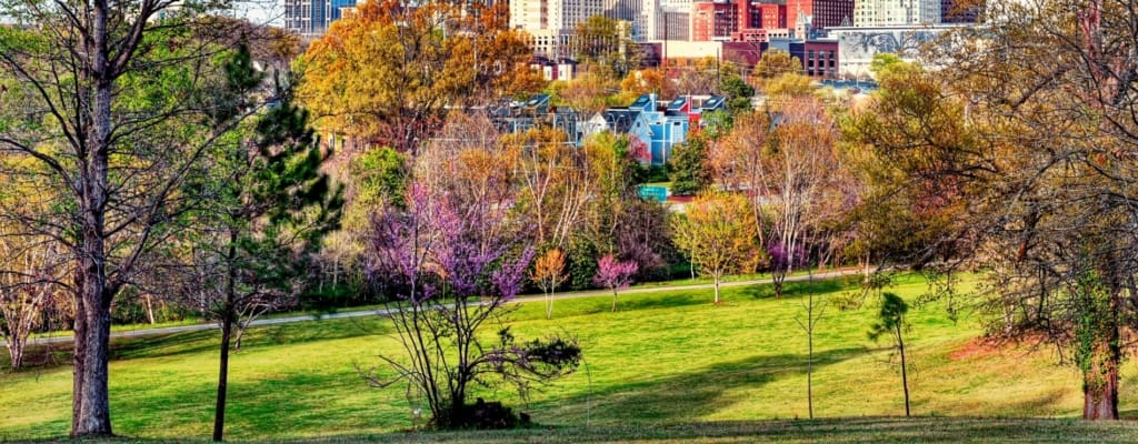 North Carolina Public Project Payment Bond Claims: A Complete Guide